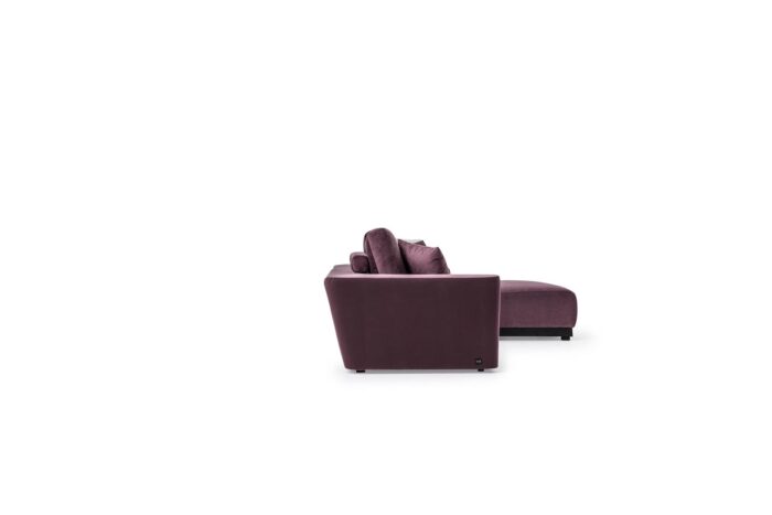 MONARC Sectional - Image 37